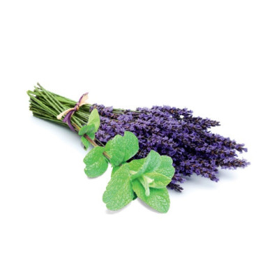 Sentiotec peelingová sůl do sauny s vůní levandule a máty 1kg