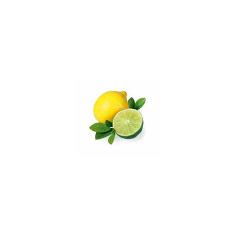 Sentiotec esencia do pary 5L citrón