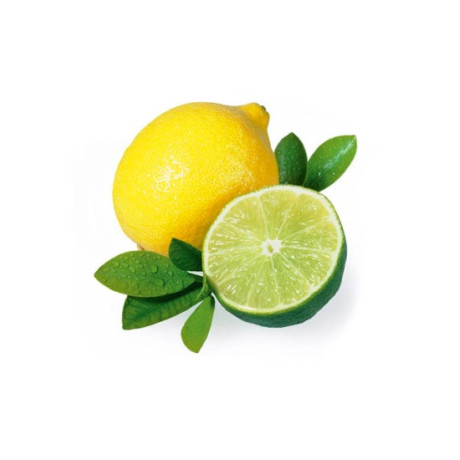 Sentiotec esencia do sauny citrón limetka 100ml