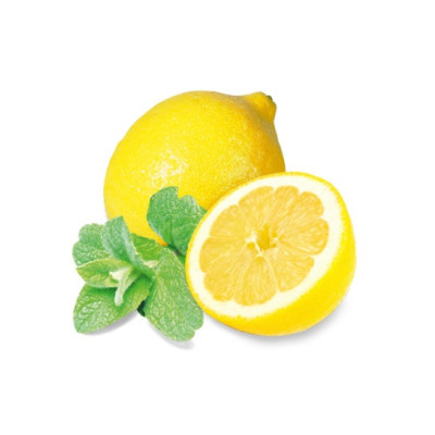 Esencia Sentiotec do sauny mäta a citrón 1000 ml