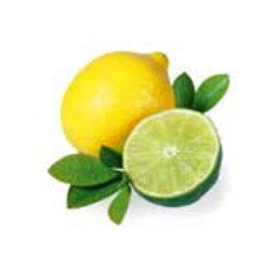 Esence Sentiotec do sauny máta a citrón 10l