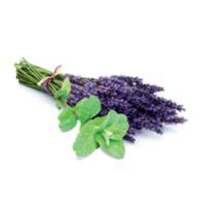 Esence Sentiotec do sauny levandule 10l